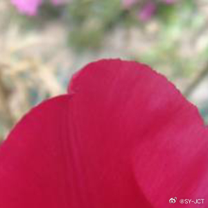 每日一善每日一善 感谢生活，感恩遇见。每一次的成长，都是生命的馈赠。正是因为有了