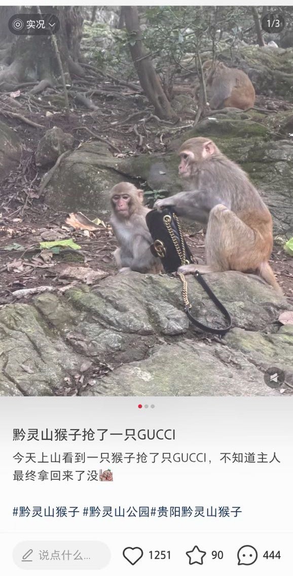 没有提到任何人 