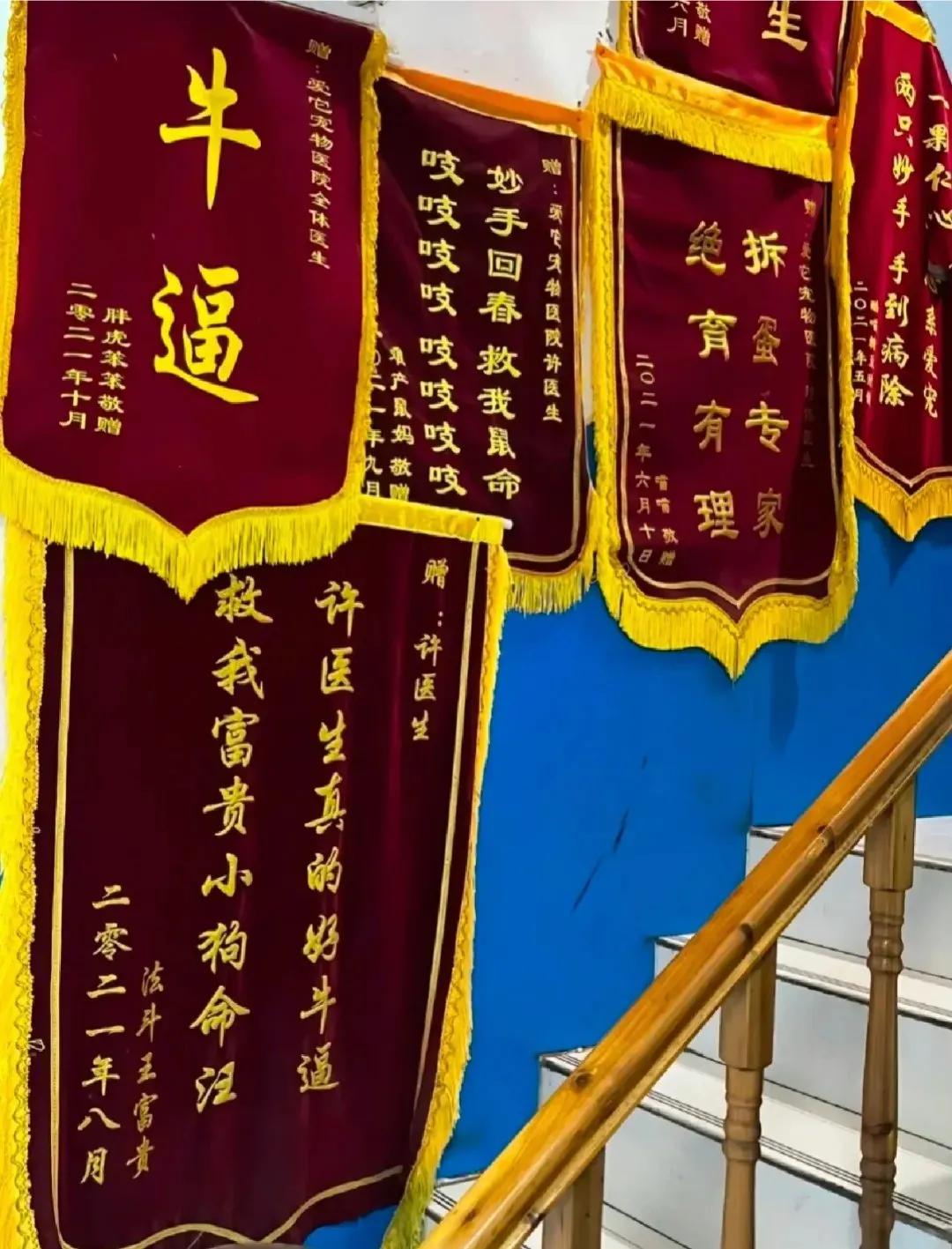 这届年轻人不简单，送锦旗直接写“牛逼”[捂脸]