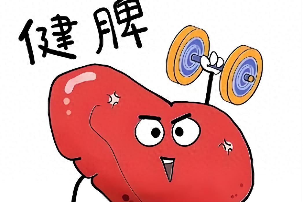 要健脾，必先升阳！一个高效健脾法，脾胃一活，全身都轻松
内容仅供参考，如有不适请