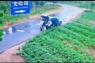 哪位眼神好帮我看看她们摘了多少个瓜？