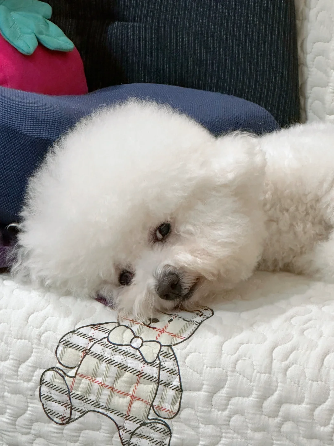 究竟是谁在背后蛐蛐我