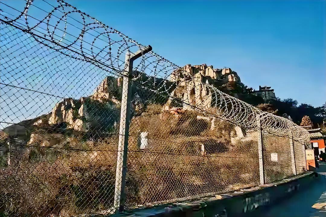 为了给自己添乱
为了给别人添堵
为了给山东抹黑
为了给泰山污名
为了给文旅教训