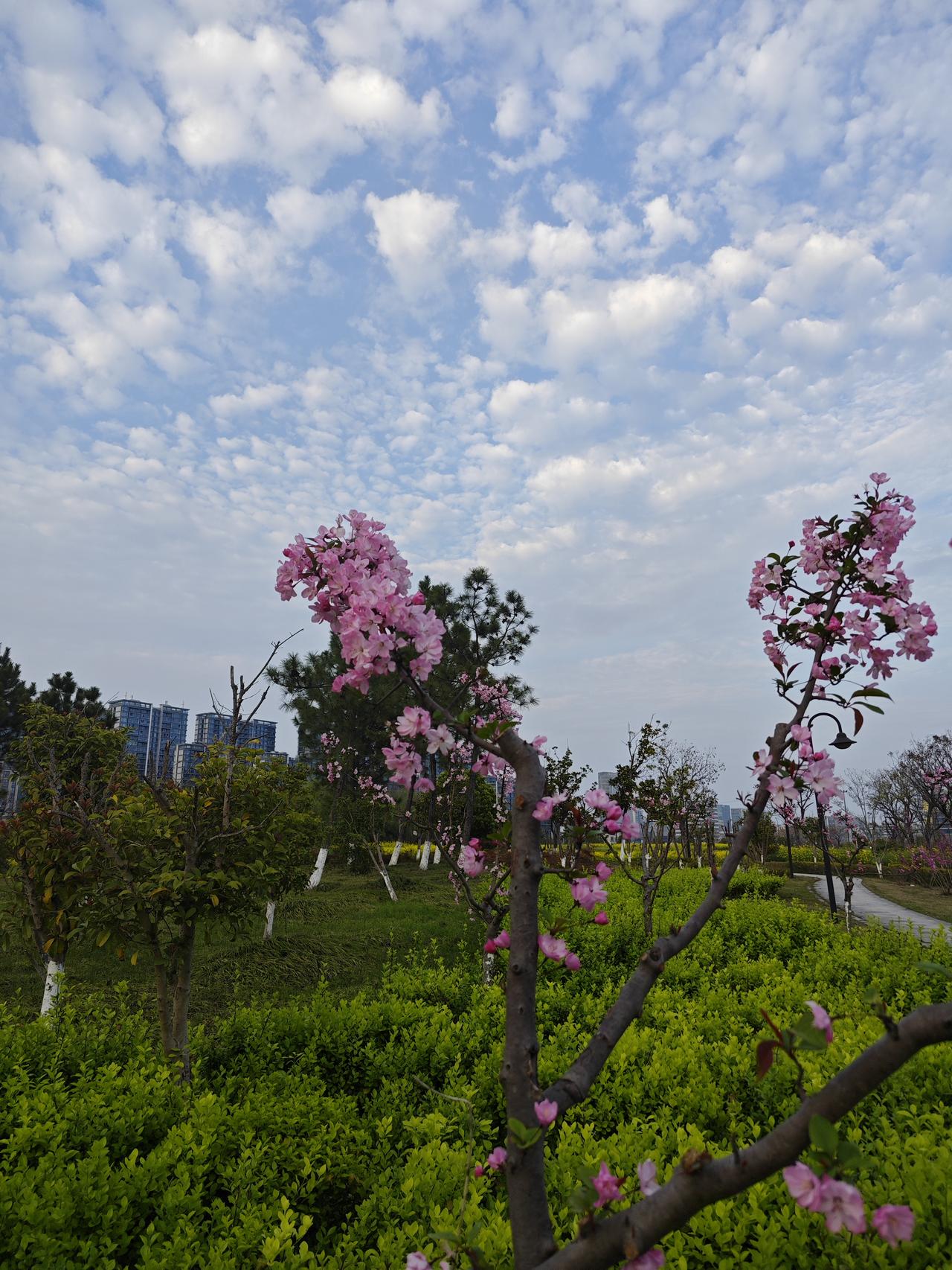 四十岁是个坎儿？别怕！养生只要做对“加减法”，身体自己会往回找。

到了这个岁数