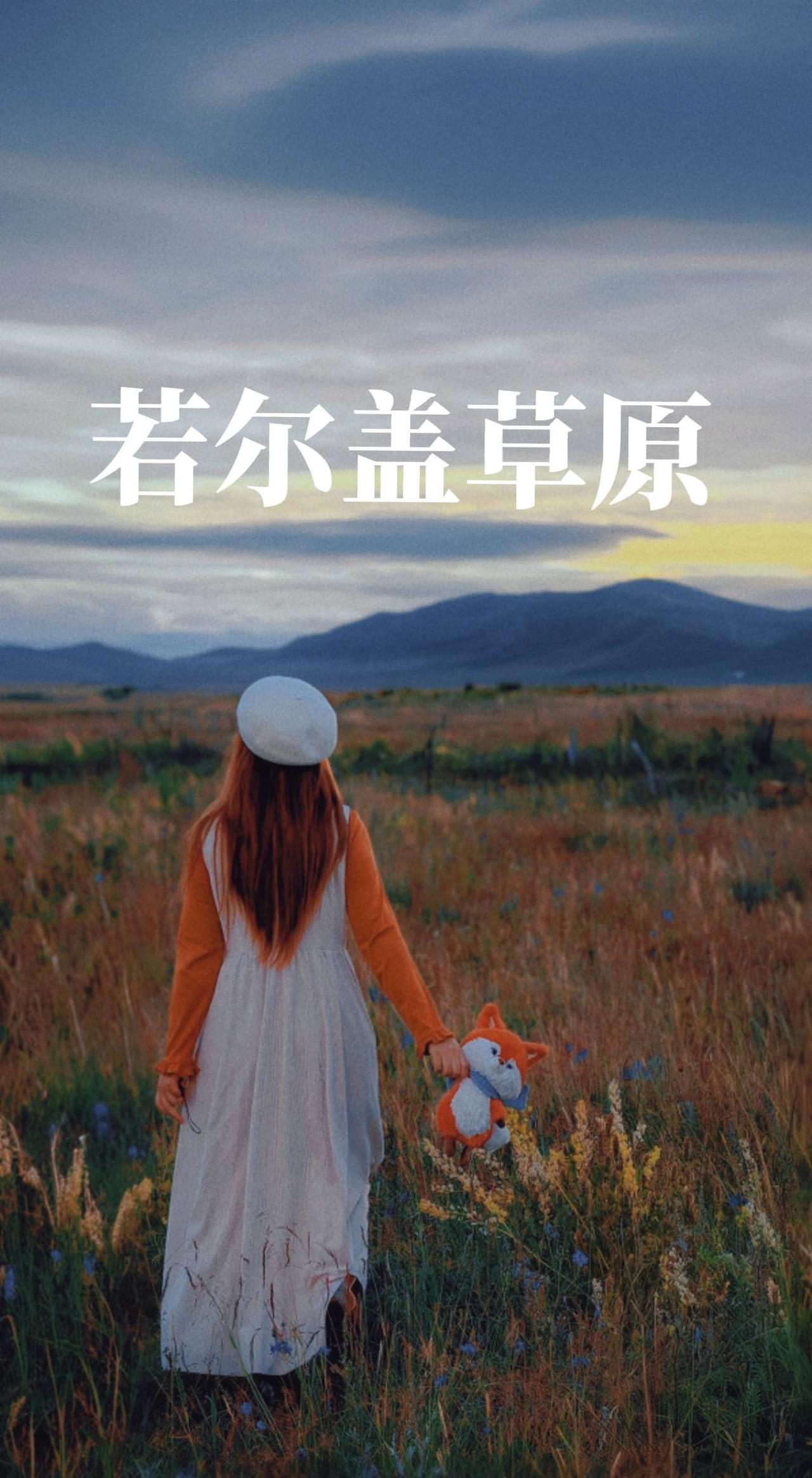 “还有什么比活着更重要？”“自由。”这里就是自由的草原【若尔盖】。《重返狼群》李