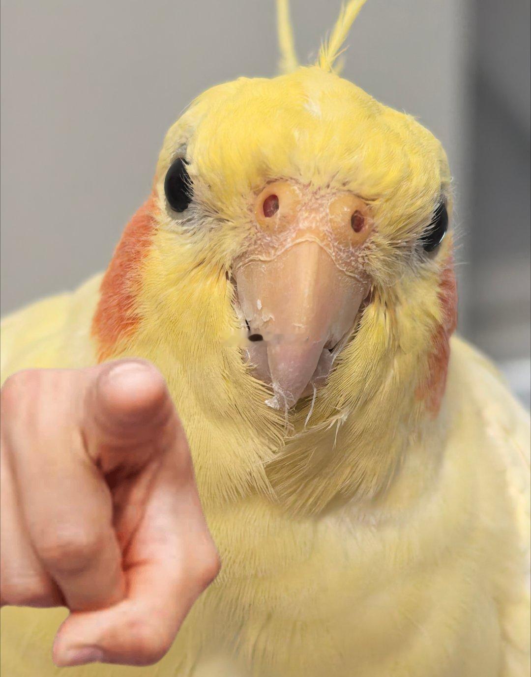 你瞅啥 ​​​