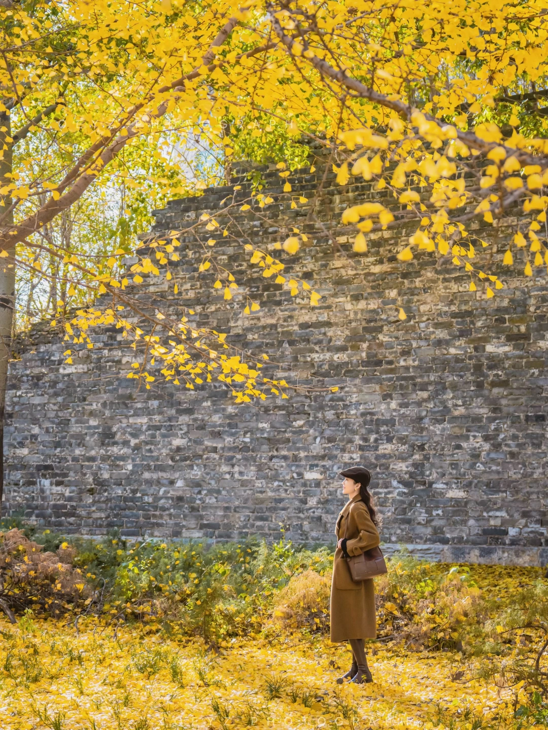 收藏一片金黄，与秋天温柔相拥