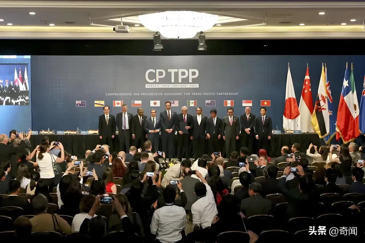 中国连续5年申请加入CPTPP未通过，从星宇股份这事来看，要想符合加入CPTPP