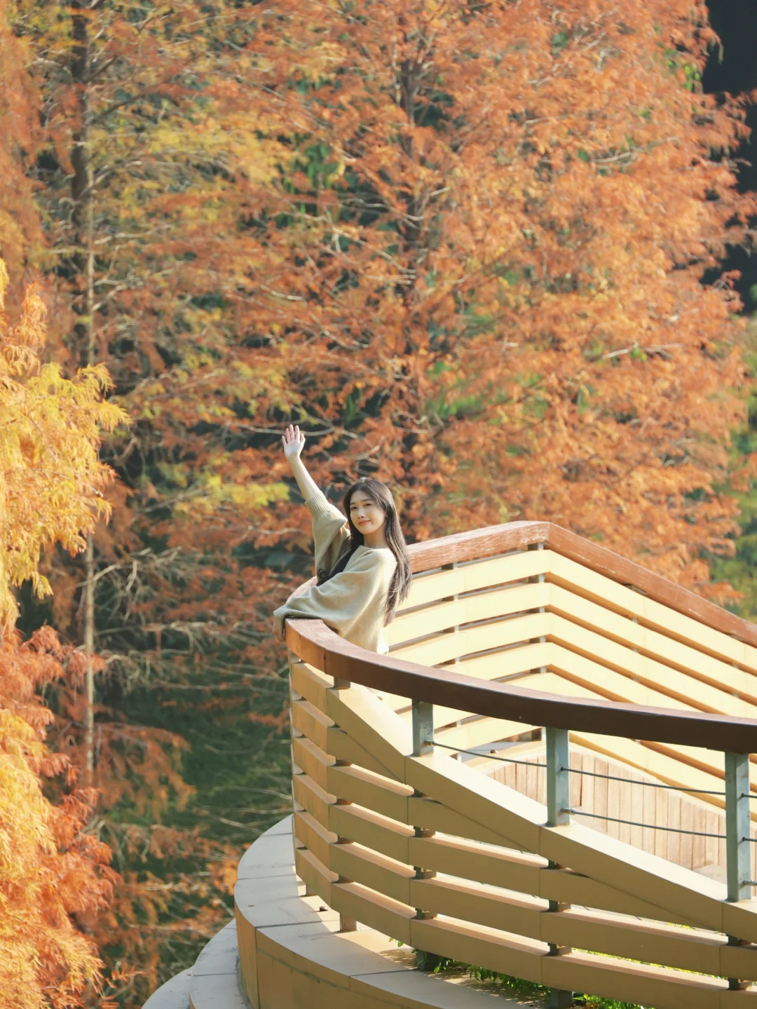 【日常】广州落羽杉打卡点 多机位分享