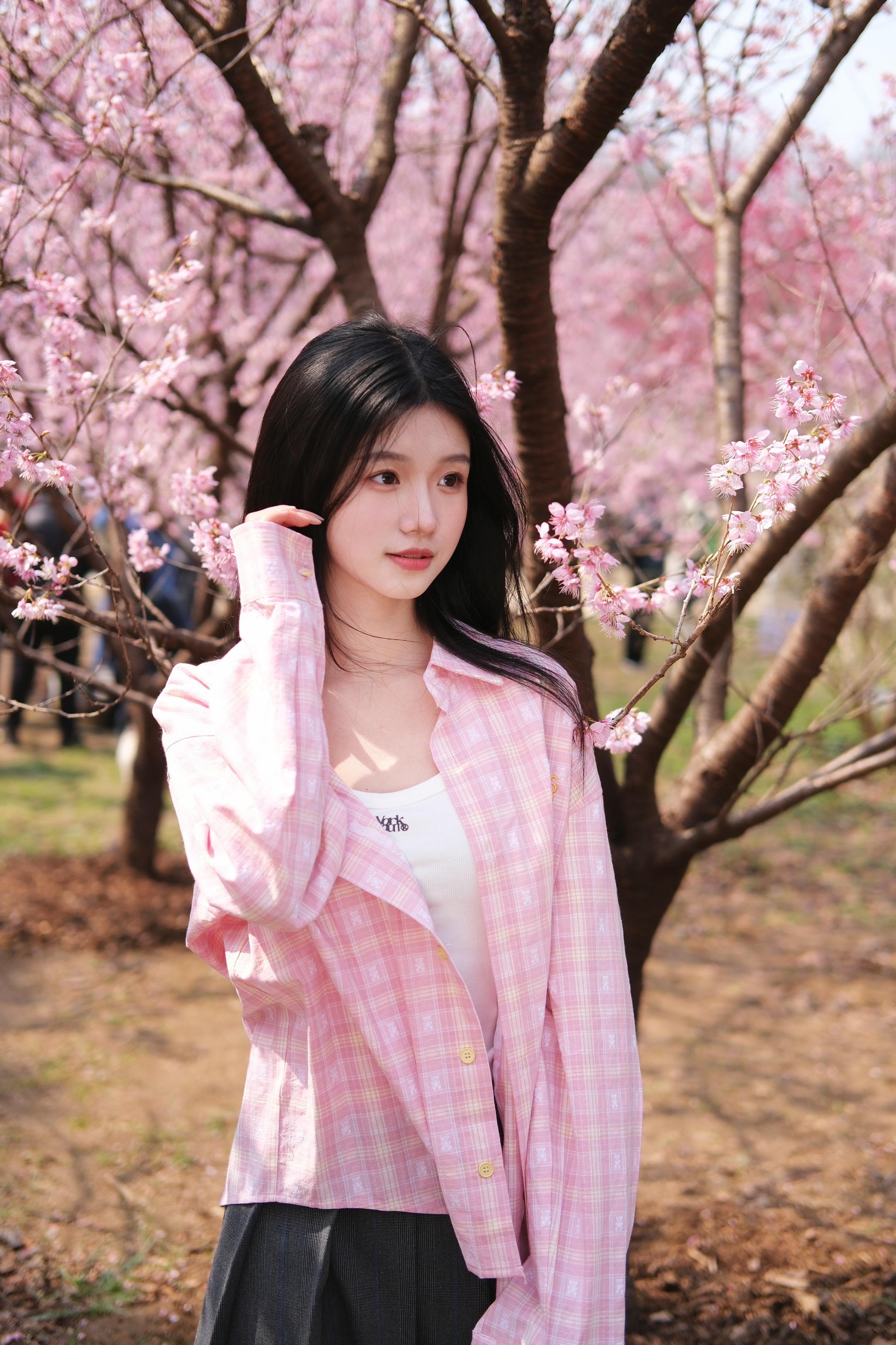 Sakura.