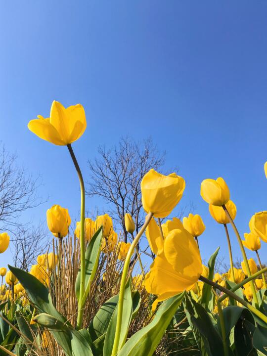 交换春天