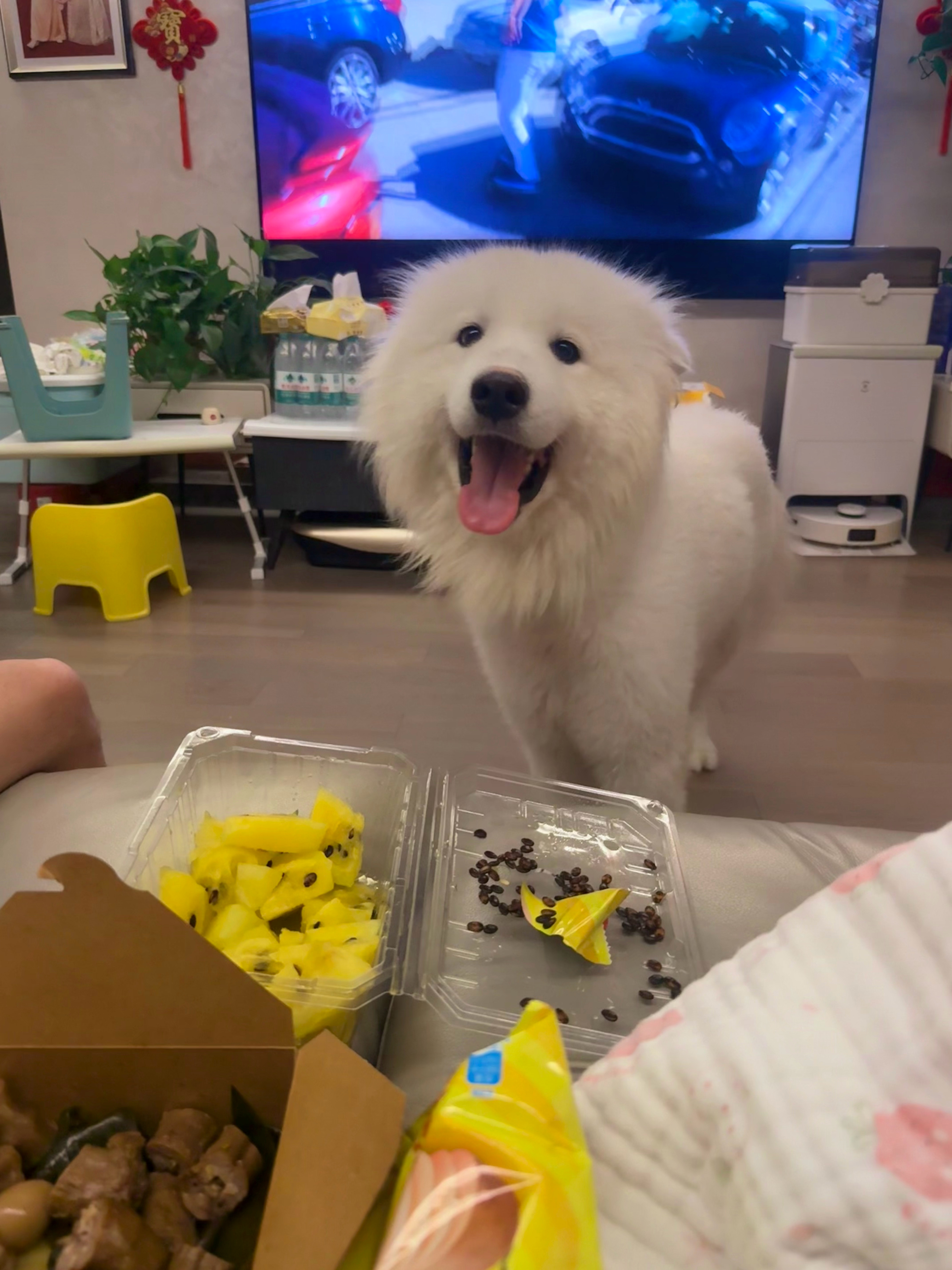 树晚上睡了之后的时间，，