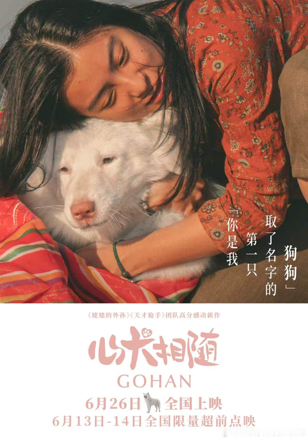 电影心犬相随实力演绎窝里横小狗 一个名字，承载了人类对小狗无尽的情感。《姥姥的外