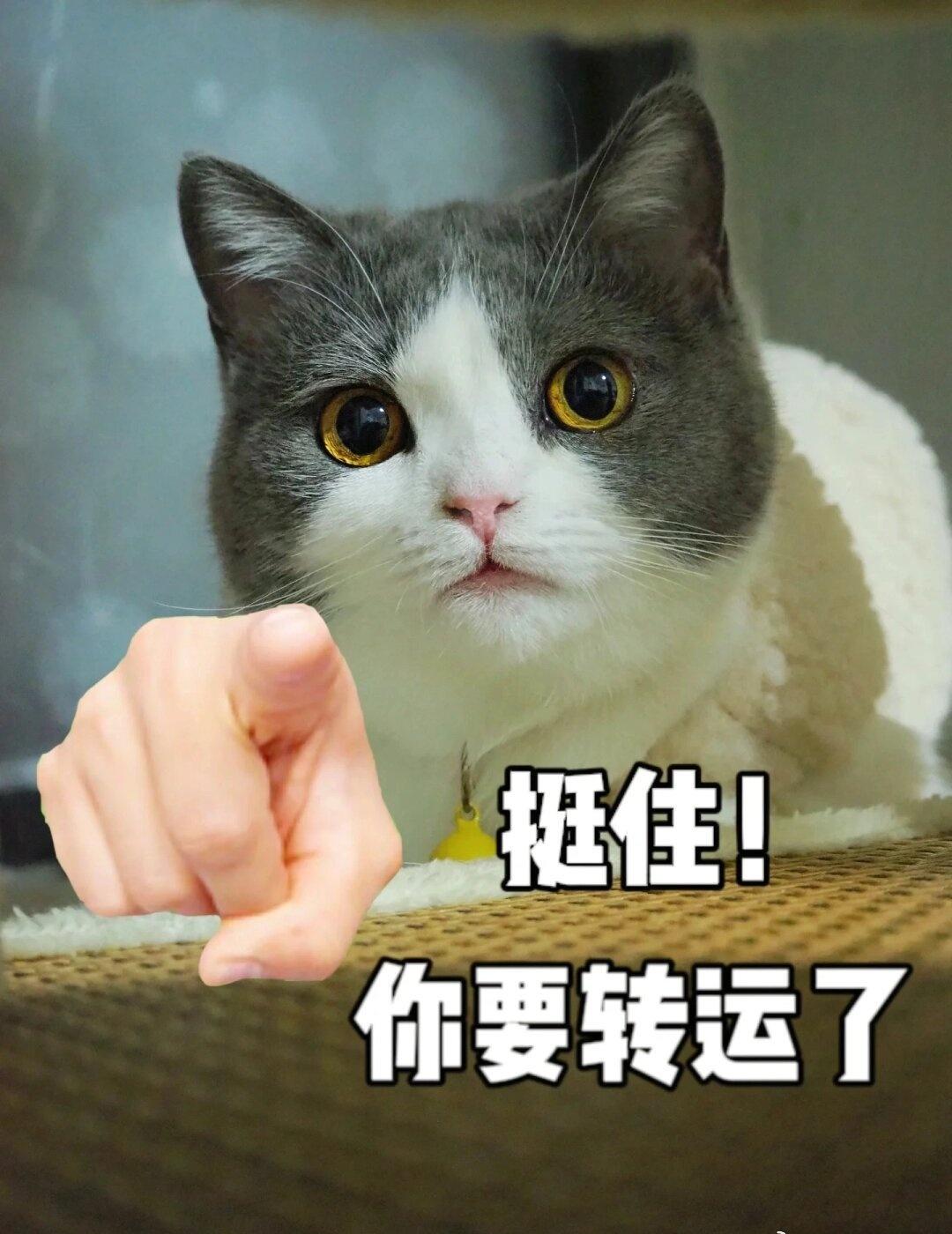 一女子买了2台空调，师傅很快上门安装，结果，刚装了一会儿，女子就听到屋外“砰”的
