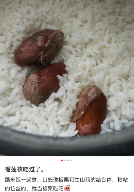 榴莲核煮饭 榴莲是真惨，长满刺就是不想动物碰，果肉给吃完了，种子现在也不放过..