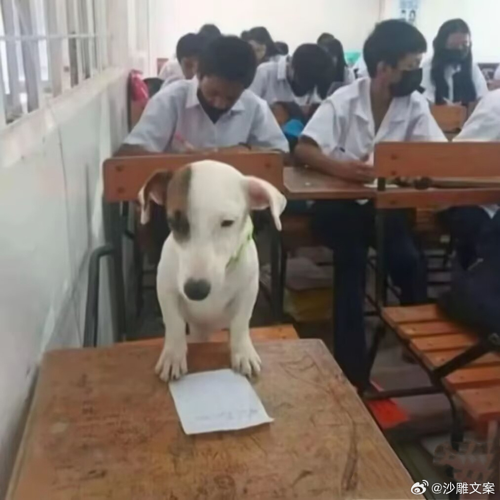 我每天 ​​​