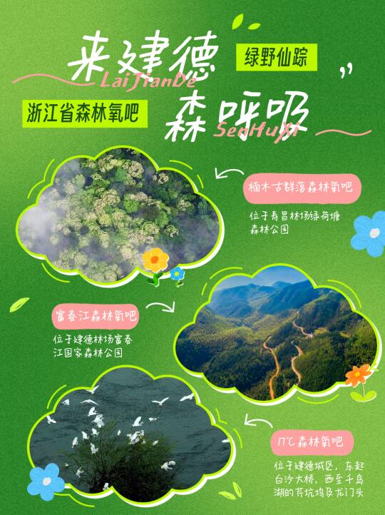 🌿【建德 6 大森林氧吧｜吸氧指南】