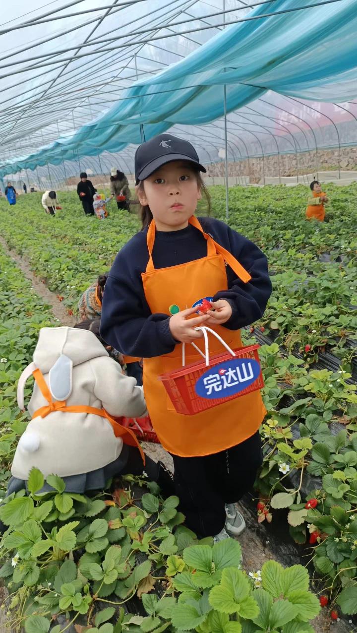 吹着温暖的风，吸着清新的空气，观看着春天的美景，春天我来了，向您报道，春天您好！