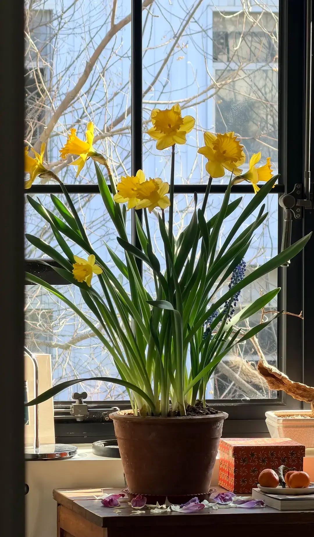 妈妈教的人情事故：

1.买肉：先付钱，只要那么多。
2.买茶：送礼的，也要强调