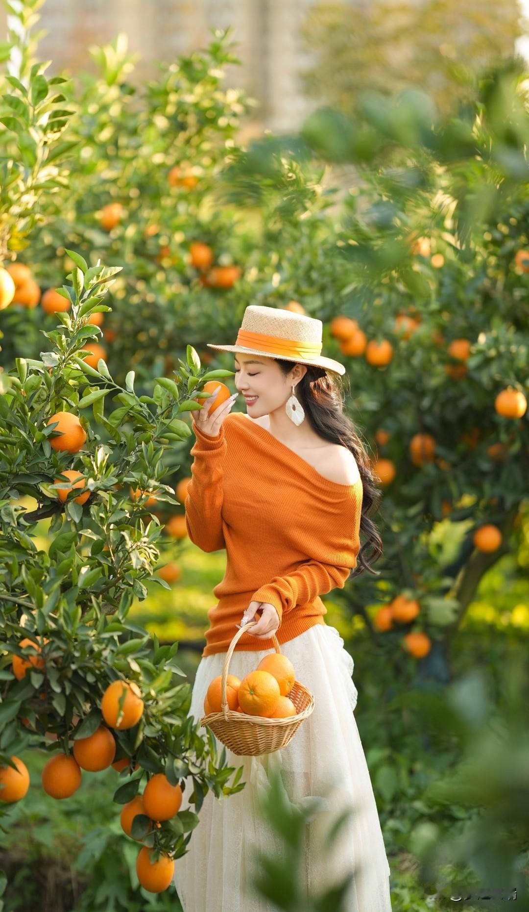 阳光下的橘子园，甜美美女采摘时🍊🌞