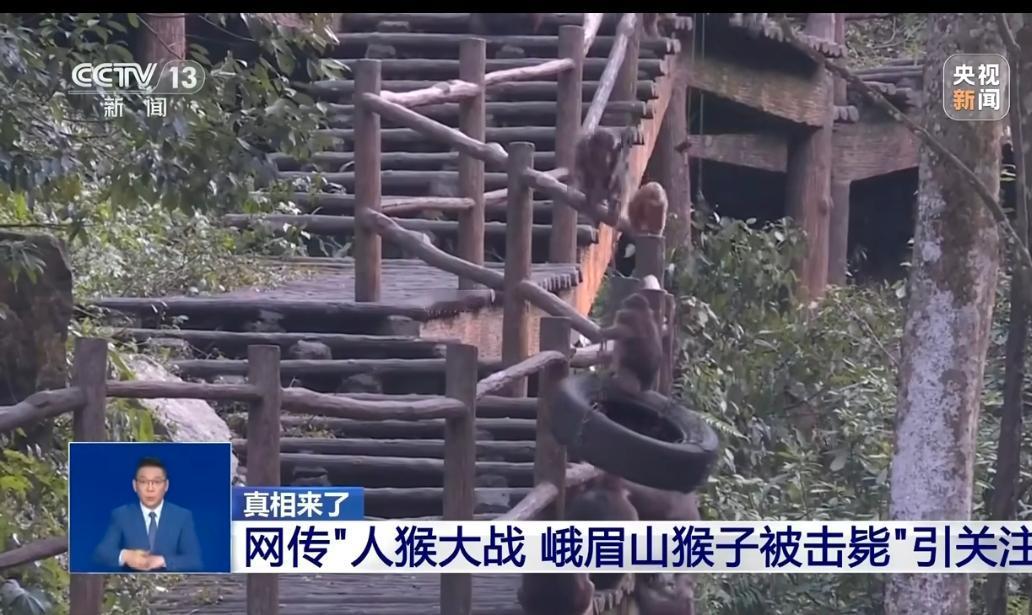 一个网络视频有11个造谣点【警惕谣言！峨眉山猴子被造谣杀人】最近，网上流传一段四