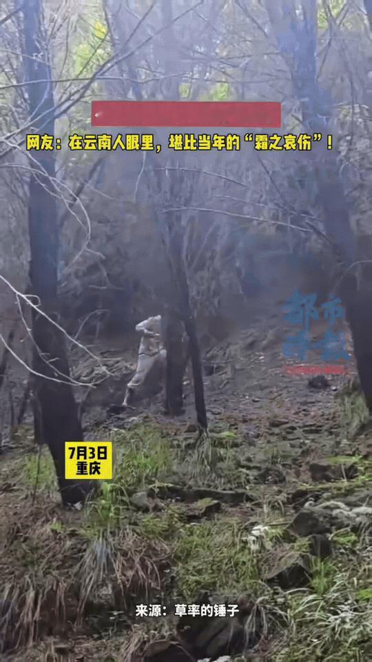 云南网友：这在菌圈相当于捡到神兵“霜之哀伤”，羡慕哭了！