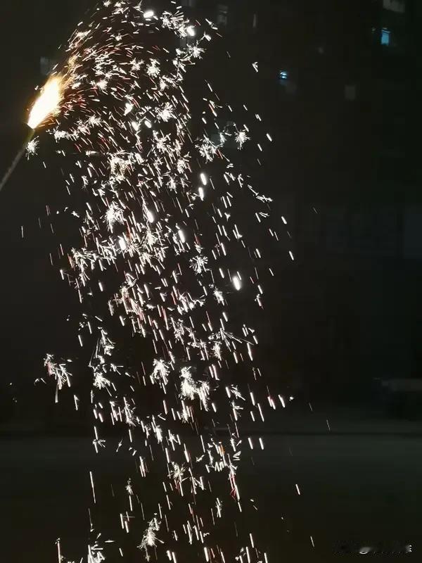 对我来说，2026最大的愿望就是平安暴富不内耗。过去的2025有甜也有累，那些没