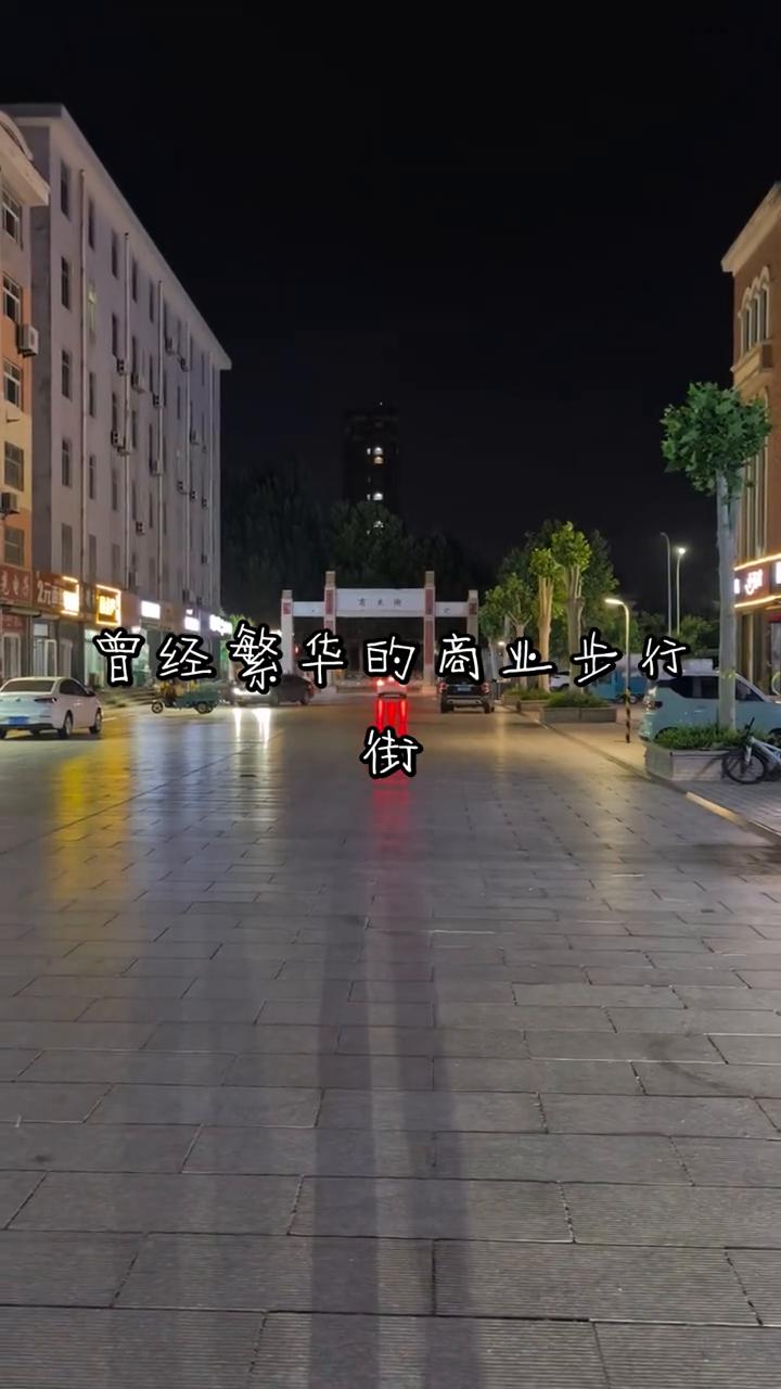 曾经繁华的商业步行街。