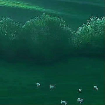 早安 流光七月 听蝉鸣夏 常生喜悦 自在欢喜 🌿🍃 