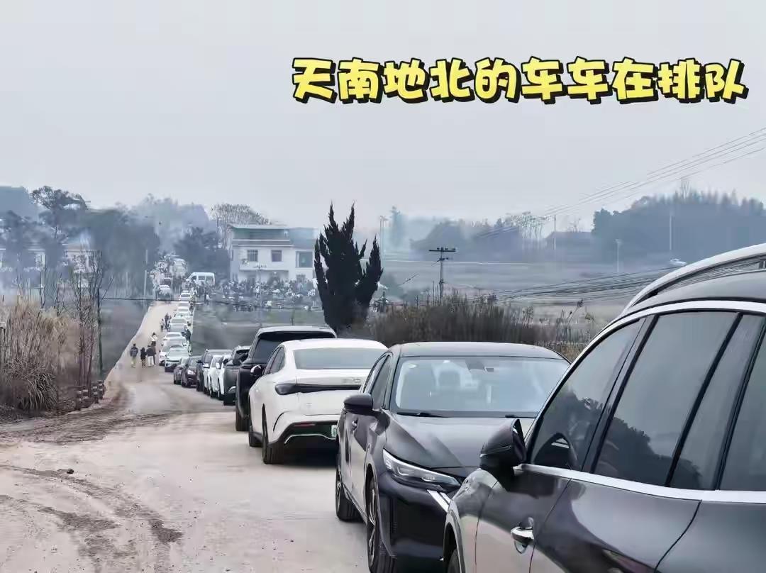 合川文旅应该抓住机会，大力宣传，刨猪汤是一大特色，扶持起一个本地网红，推动当地旅