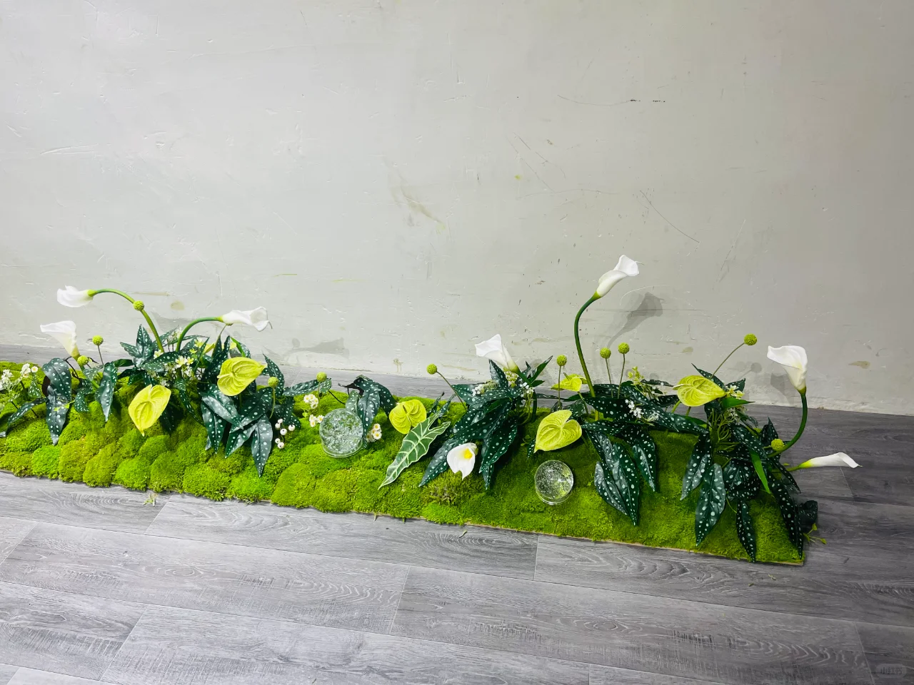 永生苔藓微景观室内凹槽绿植景