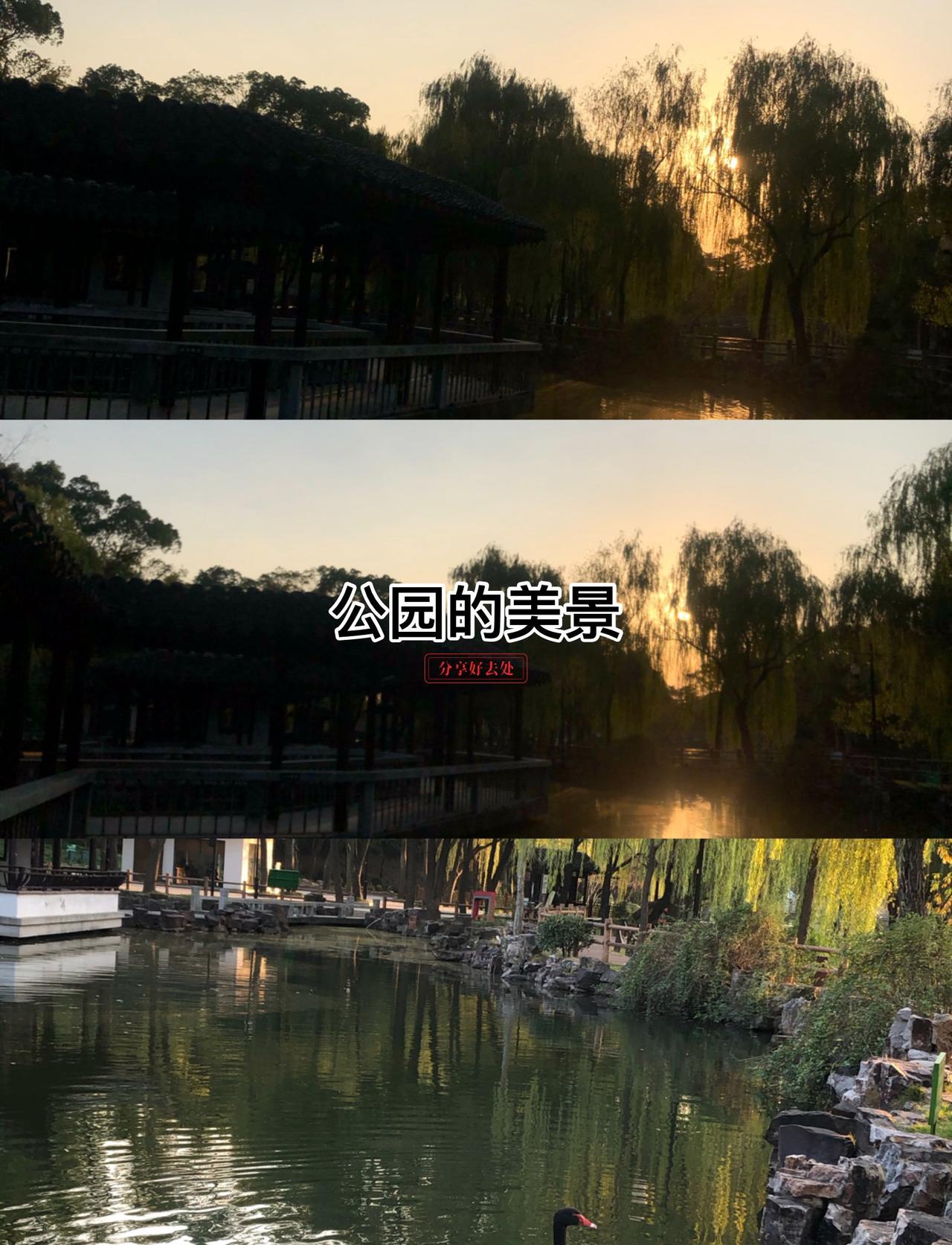 0元玩转这座城风景优美动听，令人满意起来，开心开心就好，生活就是要求开心
绝美花