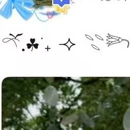 很文艺，但四芒星在c位 