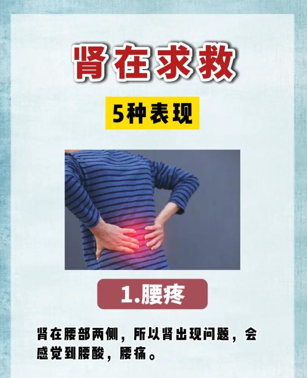 肾气不足的预警信号有哪些？