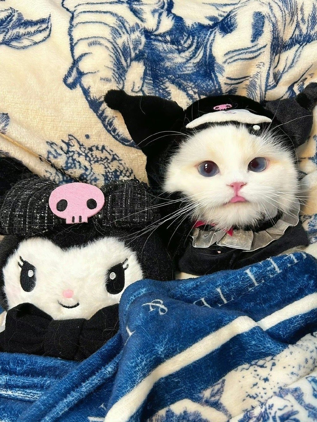 被招财猫看到的你准备迎接新年的第一桶金 