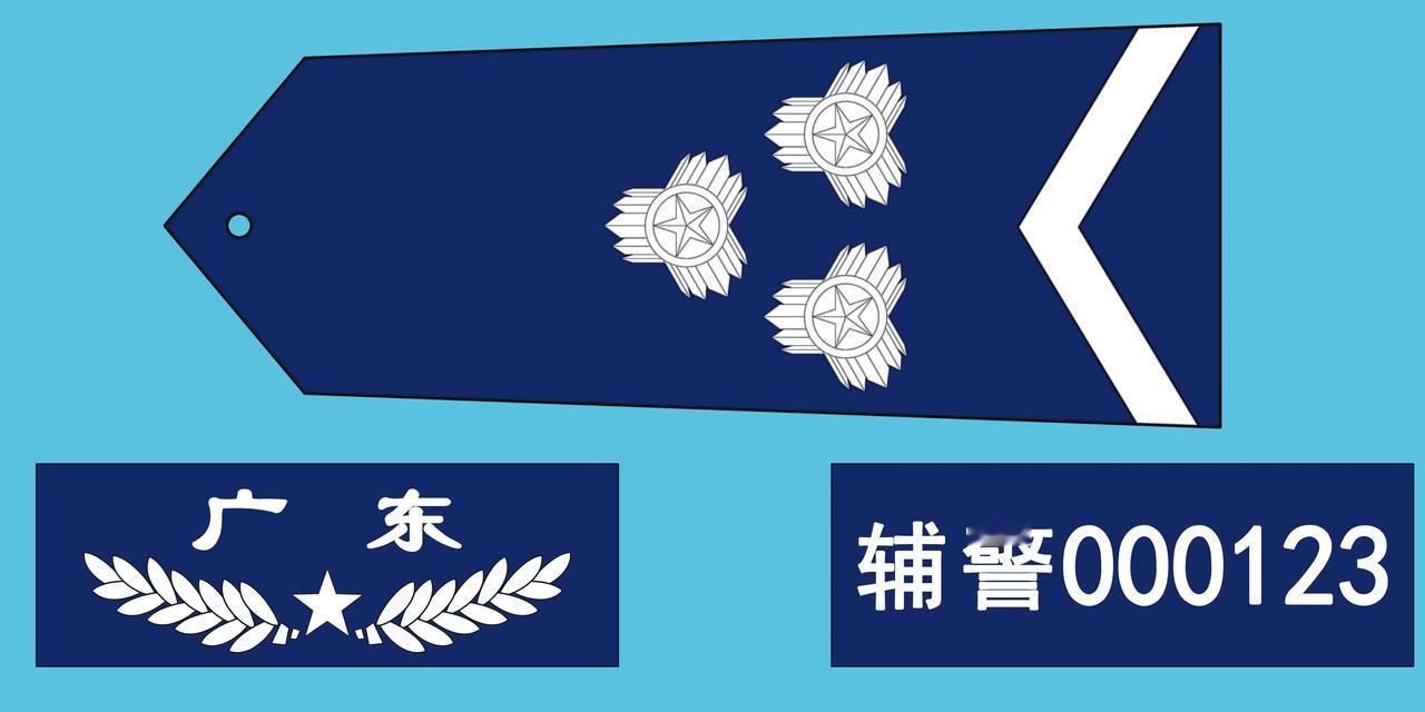 四级辅警属什么级别，含金量高吗？

在目前大多数地区实行的七级辅警层级管理制里，