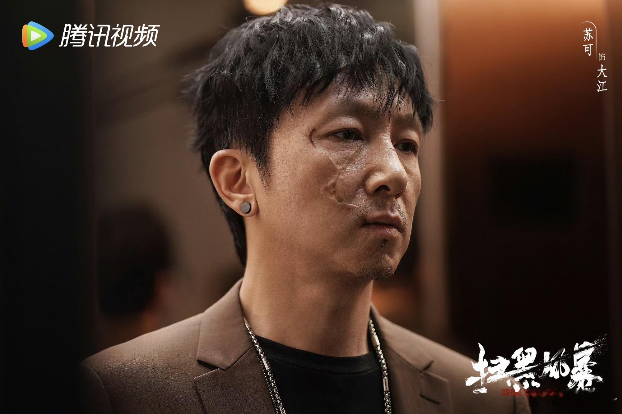 一部剧集齐叔圈四大疯批 谁懂啊！王千源佟大为彭冠英苏可这阵容直接封神，苏可终于再