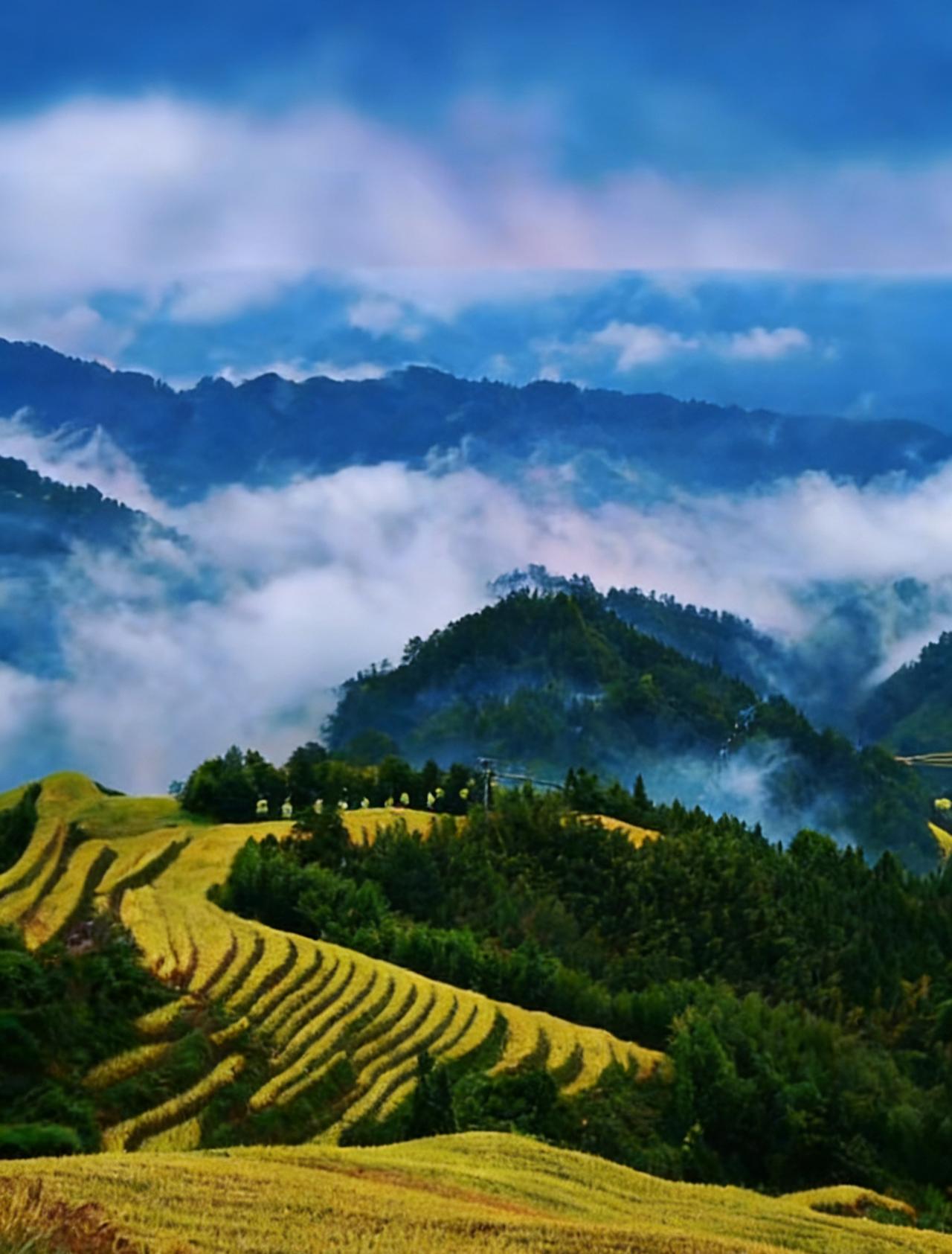 分享一张最近随手拍的照片