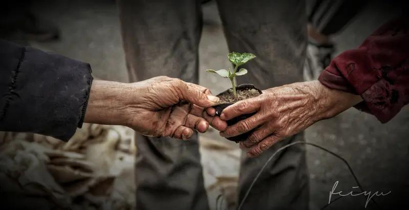 当今社会人民的希望，那可太多元了。从现实生活层面看，大家希望就业岗位更多，这样就