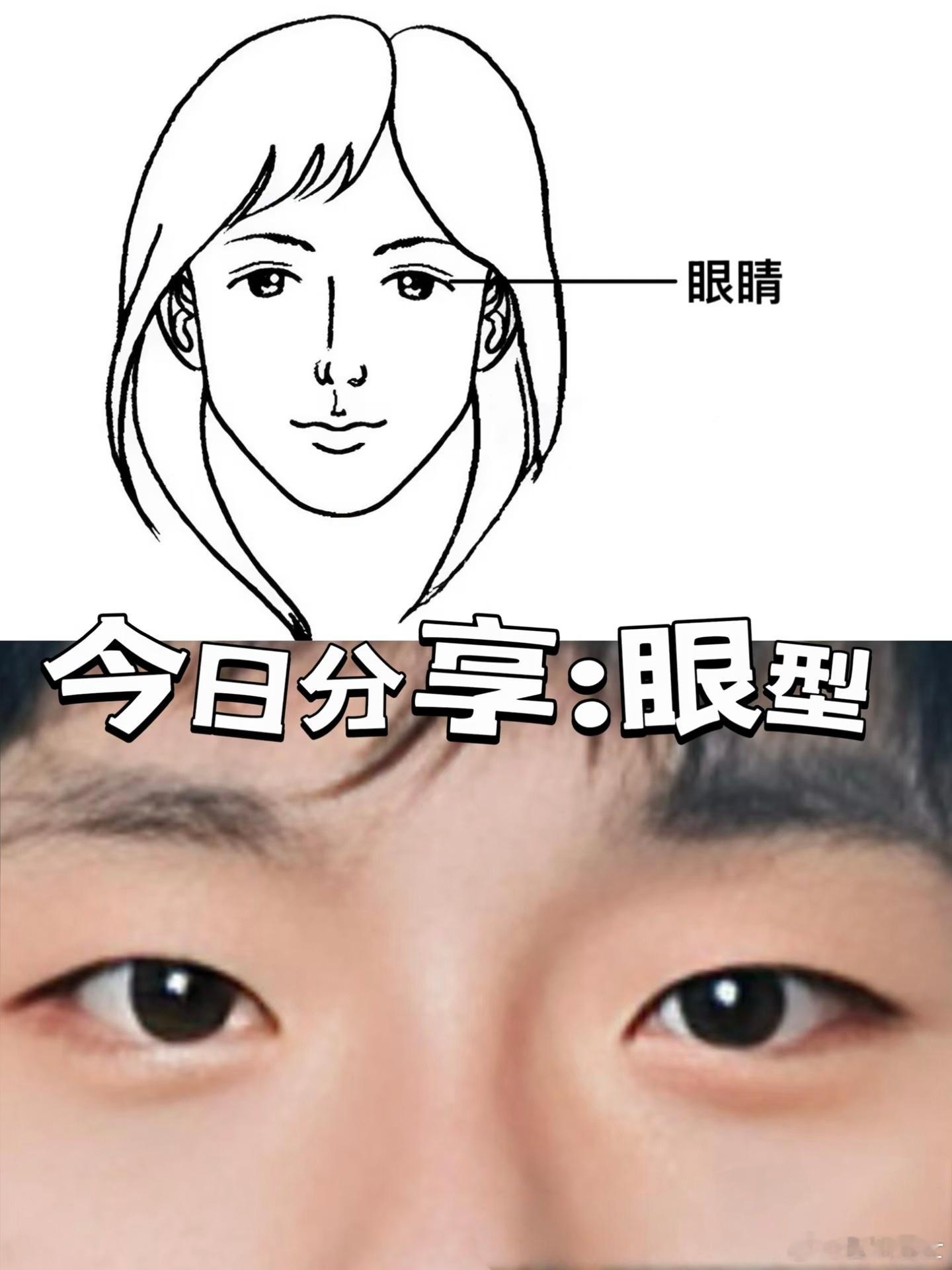 眼睛细小的人真的是这样吗五官中眼睛为监察官，不同的眼型给人不同的印象，不同的印象