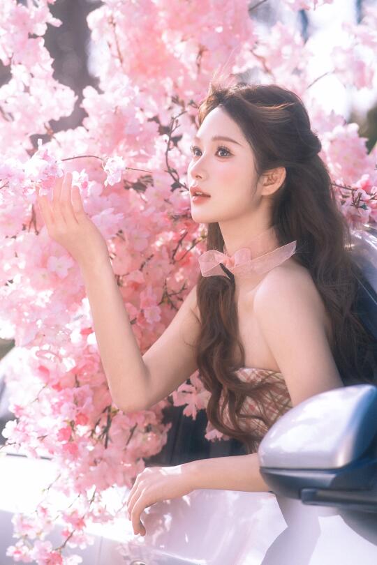 这个春日樱花把我美绝了！🌸