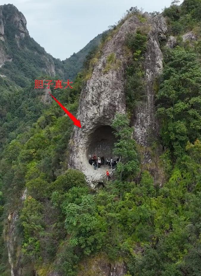 面对那座矗立于悬崖峭壁之巅的巨大“鸟窝”，
纵然群情激昂，勇者竞相攀登，但有人敢