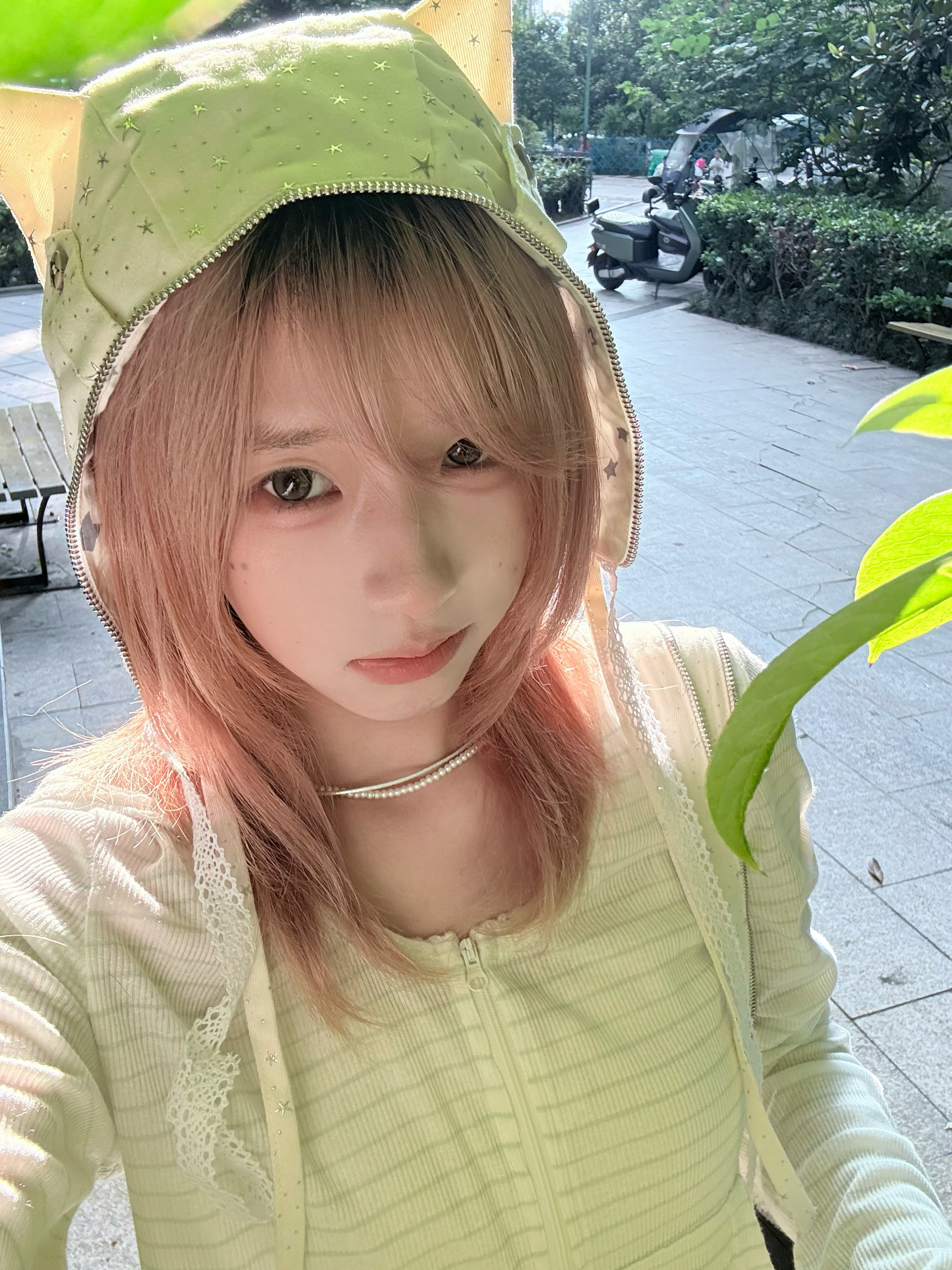 小猫探头 