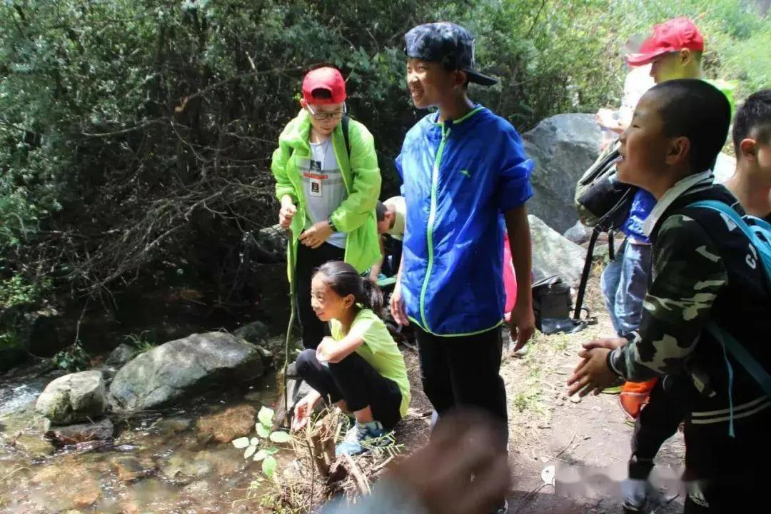 孩子视力受损多因素，电子产品非唯一元凶

近年来，我国儿童近视率确实呈现上升趋势
