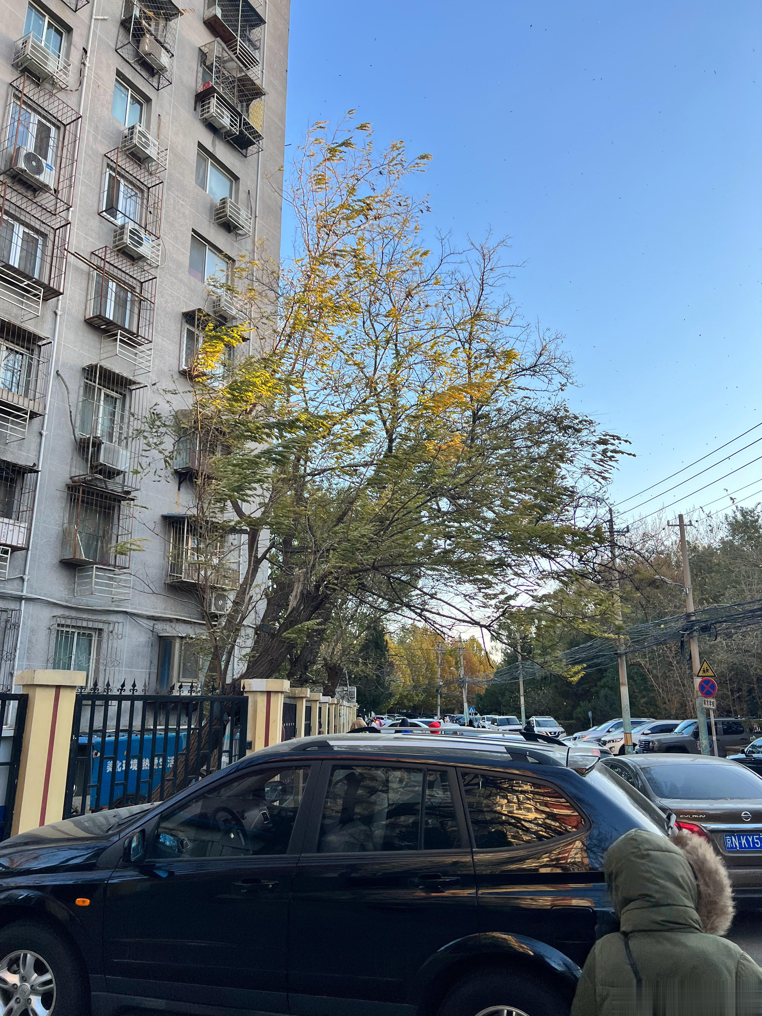 今儿我戴了口罩，倒不是因为别的，主要是口罩+胡子脸上真的很暖和[抱一抱]…… ​