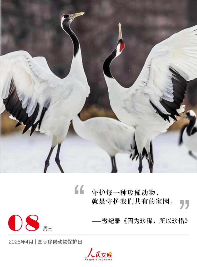 | 2026.4.8 | 国际珍稀动物保护日
守护每一种珍稀动物，
就是守护我们
