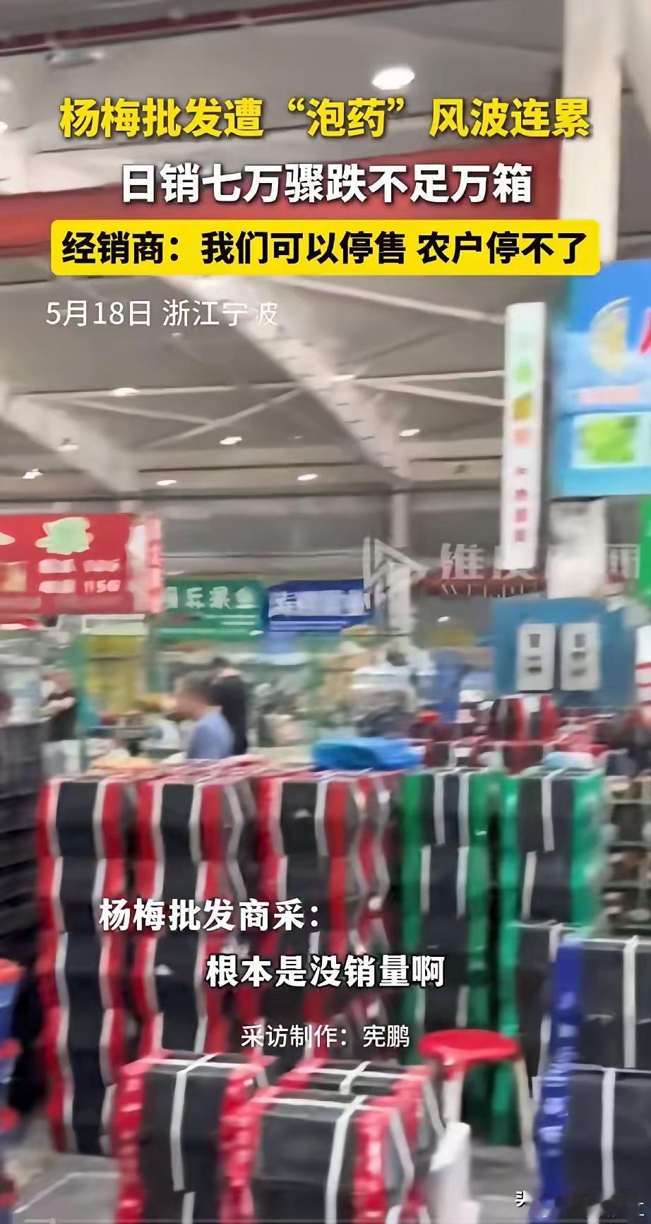 一夜之间，宁波杨梅市场彻底遇冷。此前曝出的杨梅违规“泡药”风波，直接重创整个行业
