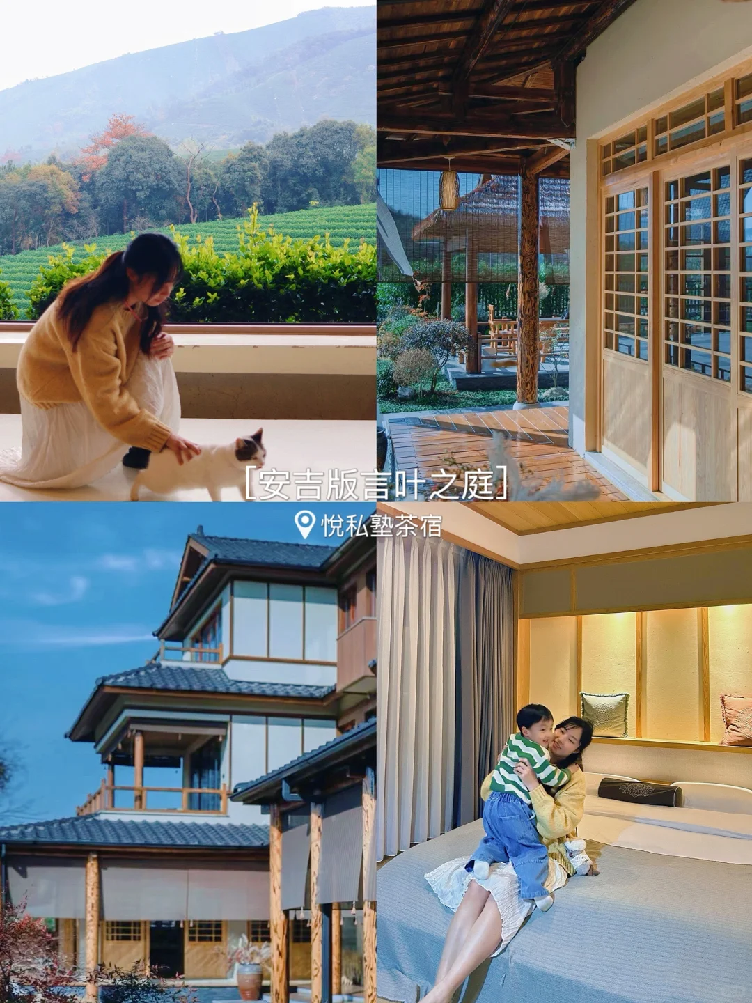 上海2h❗️白茶观景平台，住安吉版言叶之庭🍃