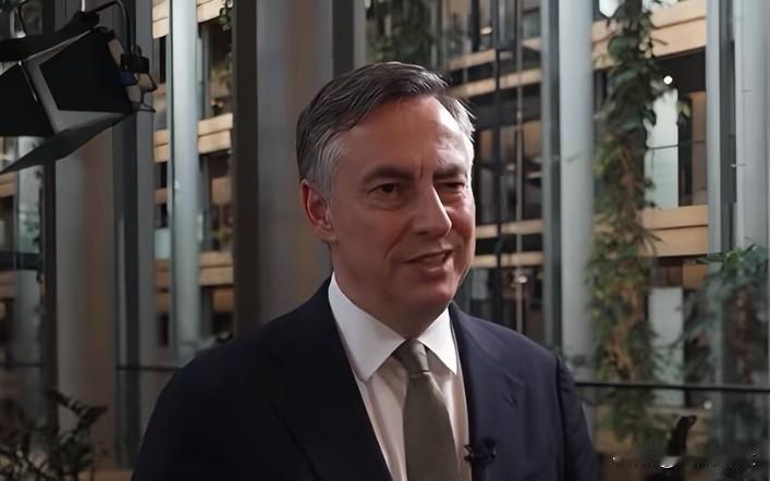 德国欧洲议会议员大卫·麦卡利斯特表示，英国脱欧伤害了双方，欧盟失去的不只是一个成