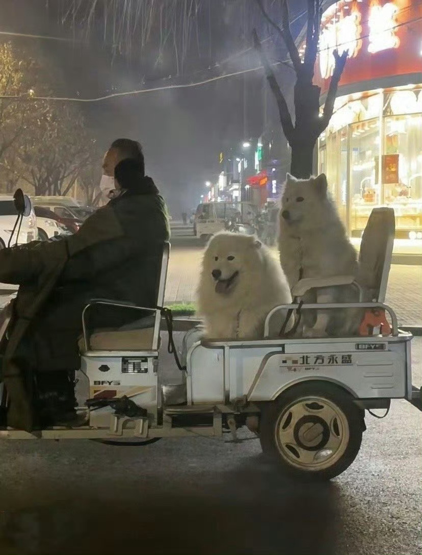 路上偶遇没头脑和不高兴 